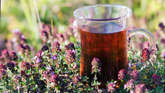 紫罗兰 玻璃 健康 开花 花园 杯子 复制 草本植物 芳香疗法
