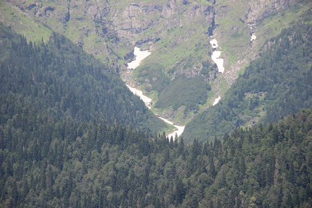 风景 高加索 欧洲 全景图 自然 旅行 森林 小山 山谷