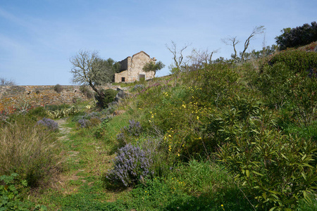 教堂 阿尔克瓦 房屋 村庄 葡萄牙语 历史的 风景 鹅卵石