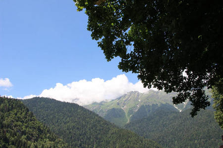 夏天 小山 全景图 美丽的 风景 公园 旅行 旅游业 丘陵