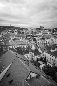 屋顶 历史的 布拉格 美丽的 建筑 旅游业 宗教 教堂 旅行