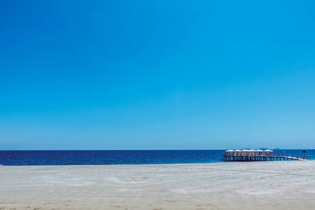 自然 场景 海滩 日出 放松 阳光 夏天 波动 椰子 风景