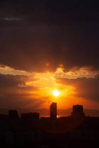 夕阳余晖下的建筑起重机，一座海边的城市