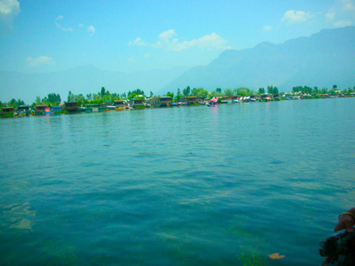 美丽的 森林 全景 海洋 天空 美女 反射 太阳 夏天 远景