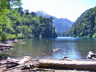 夏天 反射 自然 森林 天空 全景图 风景 旅行 公园