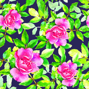开花 插图 植物区系 自然 浪漫的 夏天 剪贴簿 艺术 水彩