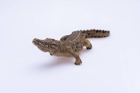 生物 宠物 恐龙 自然 蜥蜴 动物 塑料 短吻鳄 玩具 壁虎