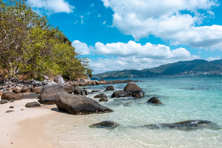 旅游业 天空 亚洲 棕榈 假日 太阳 流行的 自然 放松