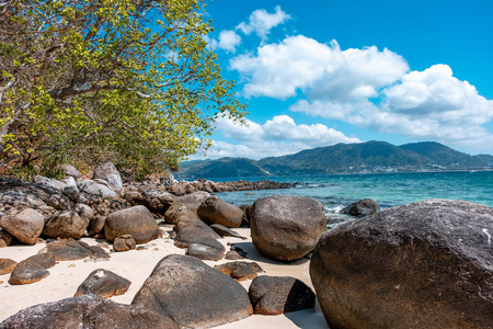 假日 旅游业 绿松石 棕榈 假期 海湾 海景 流行的 珊瑚