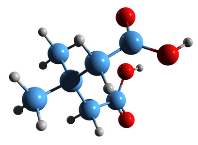 框架 机制 代谢物 前辈 周期 生物化学 通路 生物合成