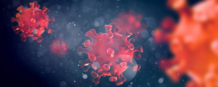 感染 微生物学 生物学 新型冠状病毒 微生物 诊断 大流行