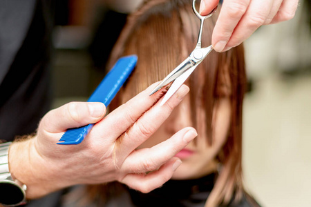 职业 长的 工具 梳子 切割 客户 在室内 头发 照顾 成人