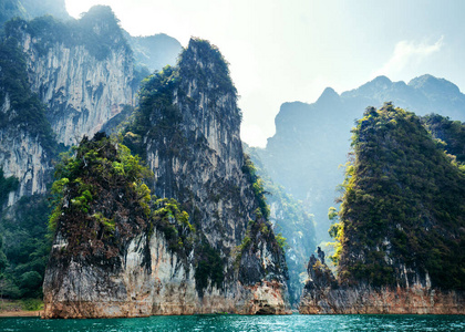 探索 自然 环境 旅行 森林 风景 公园 索克 夏天 丛林