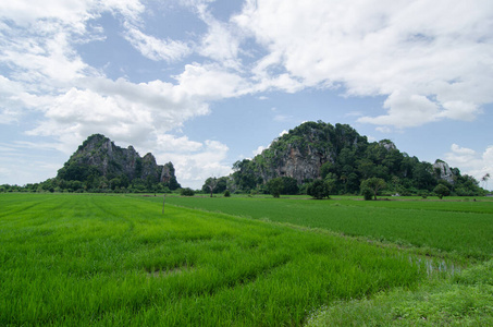 柯甸水田