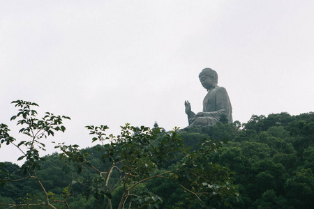 香港宝林禅寺图片