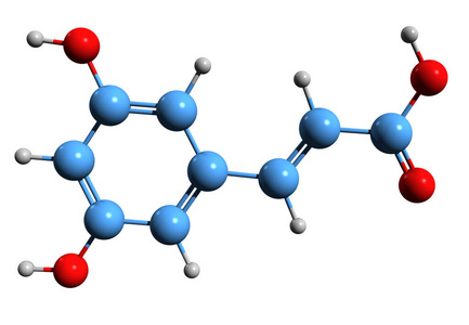 新陈代谢 机制 公式 生物化学 生物成因 咖啡 生物合成