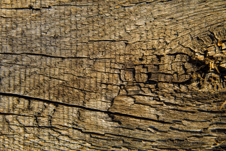墙纸 木板 木制品 古老的 自然 桌子 颜色 硬木 木材