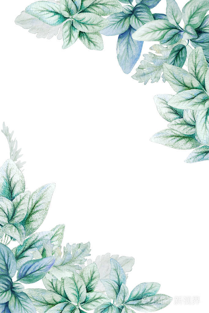 垂直花卉水彩画框手绘插图