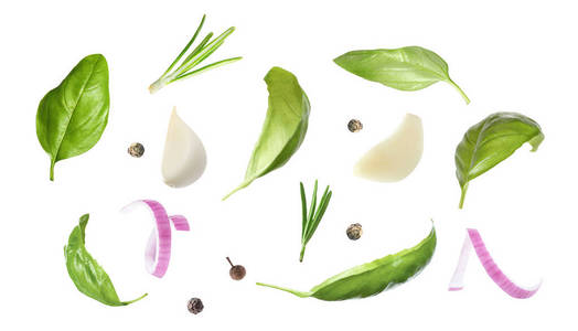 植物 大蒜 蔬菜 美食学 调味品 烹饪 产品 营养 丁香