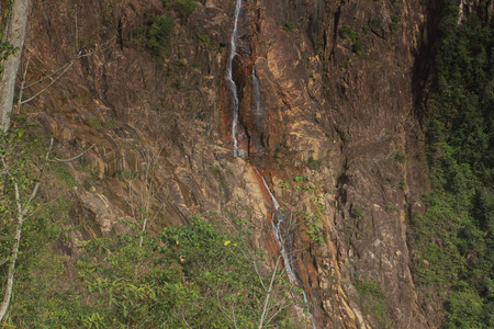 美丽的 森林 公园 夏天 风景 环境 自然