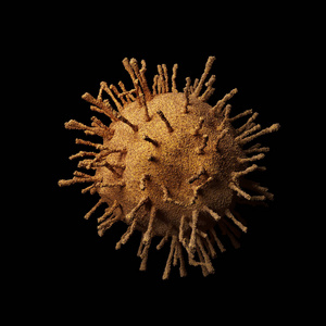 细菌 细胞 肺炎 发烧 健康 新型冠状病毒 病菌 生物学
