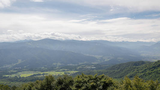 木材 风景 日本 环境 植物 自然 美丽的 旅游业 冥想