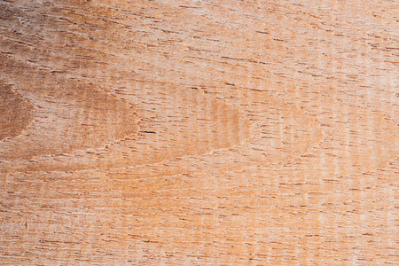 橡树 木工 木材 自然 建筑学 墙纸 镶木地板 材料 家具