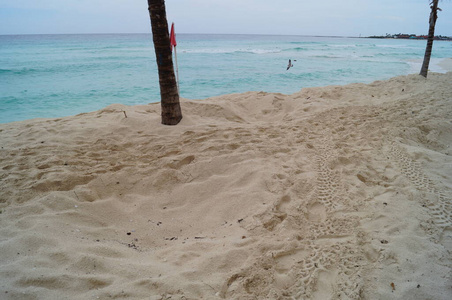 风景 假期 自然 假日 天空 放松 旅游业 海洋 美丽的