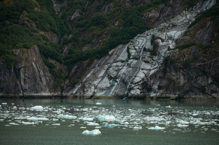 浮动 自然 海湾 反射 风景 晶体 寒冷的 气候 冰川 海洋