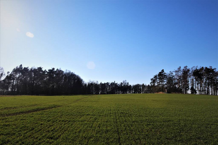 地平线 环境 森林 草地 自然 春天 农场 植物 夏天 土地