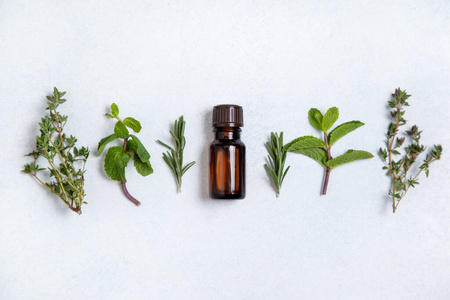 本质 香料 提取 医学 变异 草本植物 薄荷 芳香疗法