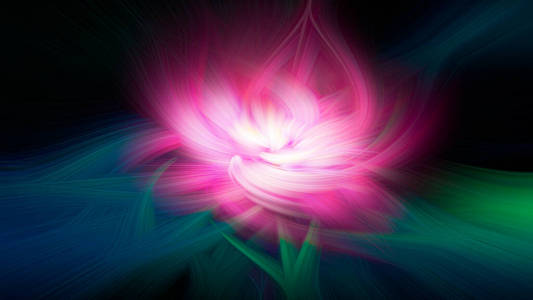 彩色荷花荷花光滑的花朵形状漩涡抽象背景