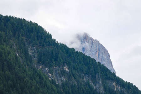 山谷 森林 全景 攀登 白云石 旅游业 美丽的 跋涉 追踪