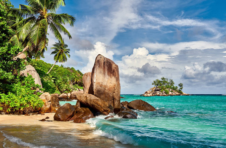 棕榈 旅行 旅游业 绿松石 海景 岩石 风景 海滩 目的地
