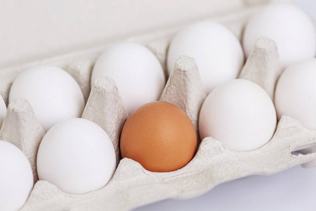 纹理 早餐 纸箱 蛋白质 复活节 农业 蛋壳 杂货 包装