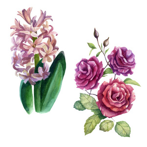 美丽的 花的 艺术 植物区系 卡片 绘画 要素 生态学 粉红色