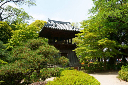风景 夏天 宝塔 艺术 公园 植物 日本人 花园 宗教 寺庙