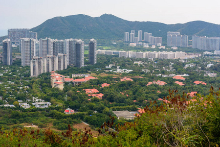 美丽的 旅游业 高的 亚洲 雨林 鹿回头 天线 城市 城市景观