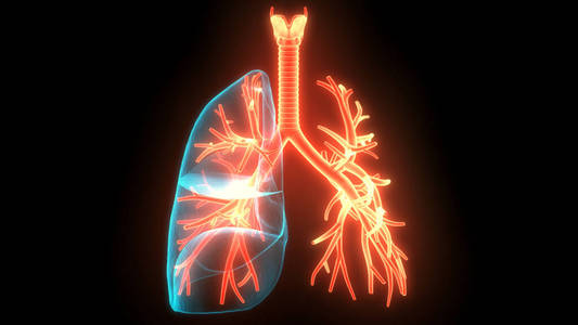 肺炎 呼吸 肺气肿 系统 照顾 呼气 牙槽骨 解剖 生理学
