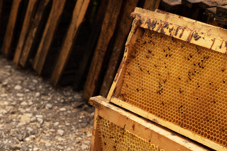 甜的 蜂巢 框架 蜜蜂 夏天 昆虫 蜂蜜 花粉 食物 特写镜头