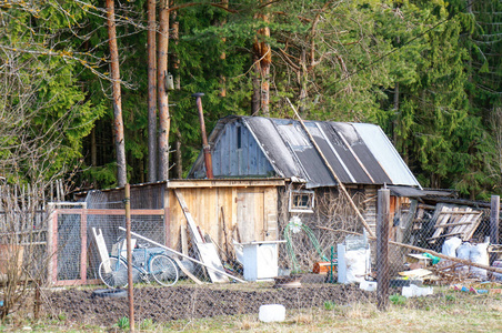 森林 乡村 小屋 屋顶 木材 古老的 建筑学 谷仓 农场