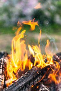 发光 篝火 温暖的 闪耀 燃烧 原木 壁炉 热的 烤架 易燃