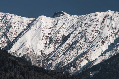滑雪板 山谷 森林 旅游业 滑雪 季节 全景图 寒冷的 索契