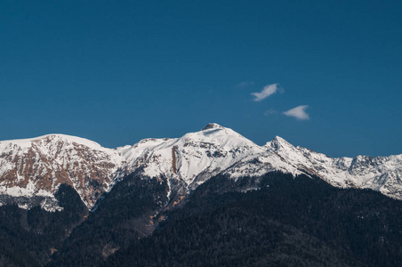 欧洲 森林 旅游业 斜坡 美丽的 俄罗斯 阿尔卑斯山 运动