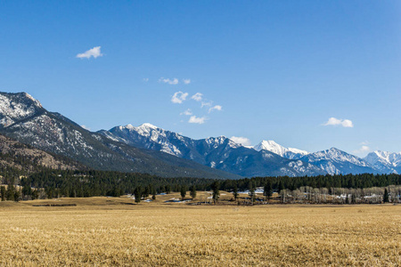 自然 季节 山谷 小山 农业 旅游业 乡村 加拿大 场景