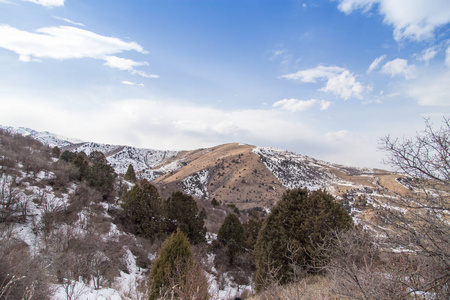 季节 阿拉木图 自然 旅行 风景 哈萨克斯坦 气候 公园