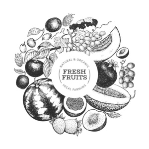 草莓 梅子 自然 插图 框架 偶像 绘画 葡萄 素食主义者