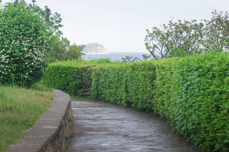 建筑学 追踪 夏天 外部 园林绿化 铺路 混凝土 花园 鹅卵石