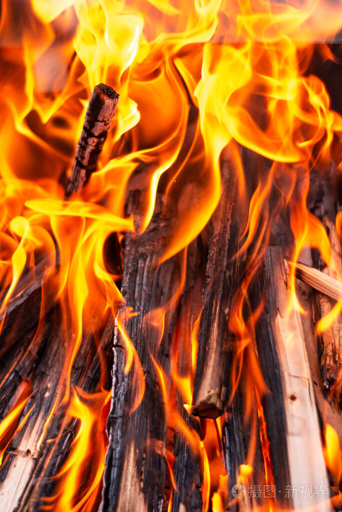 野火 易燃 特写镜头 营地 美丽的 纹理 火灾 森林 温暖的