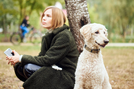 睡觉 自然 犬科动物 公园 森林 动物 成人 友谊 眼睛